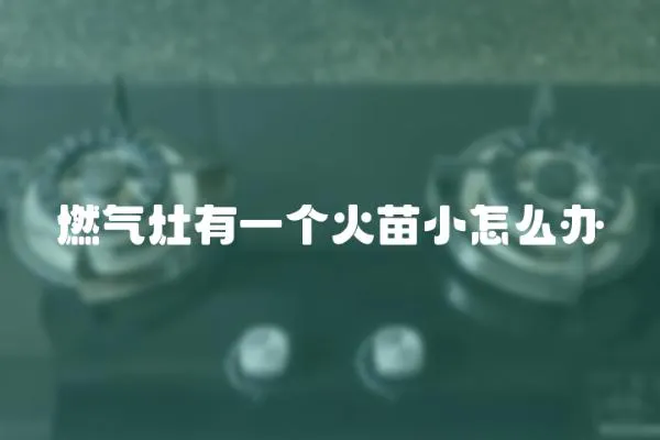 燃氣灶有一個火苗小怎么辦
