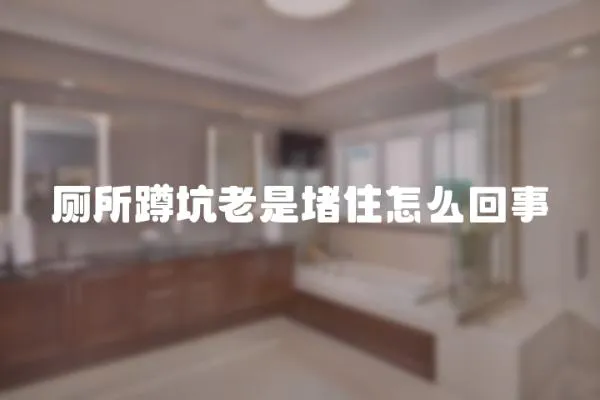 廁所蹲坑老是堵住怎么回事