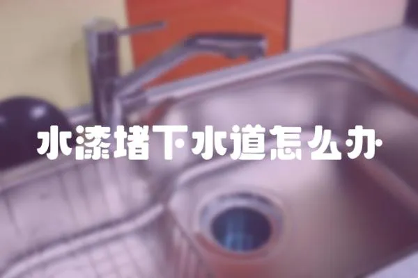 水漆堵下水道怎么辦