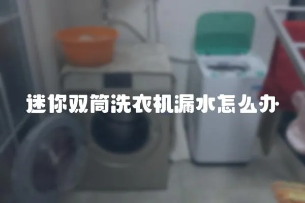 迷你雙筒洗衣機漏水怎么辦