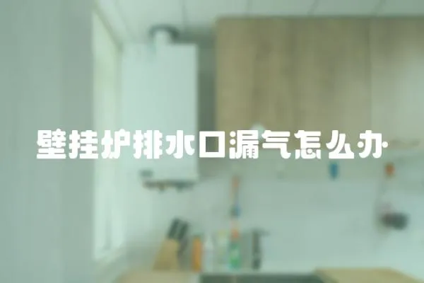 壁掛爐排水口漏氣怎么辦