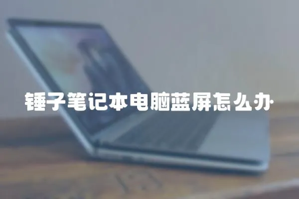 錘子筆記本電腦藍(lán)屏怎么辦
