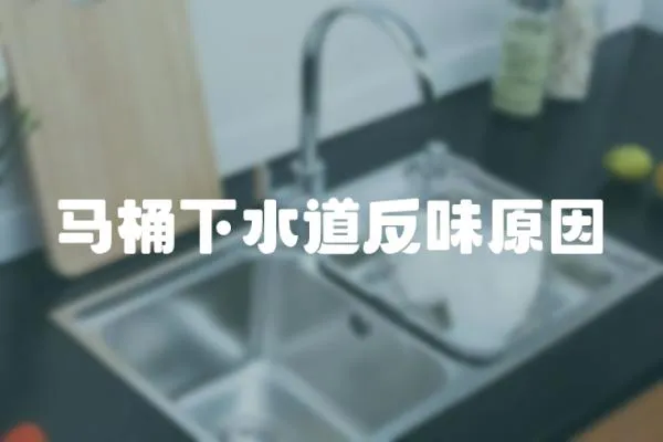 馬桶下水道反味原因
