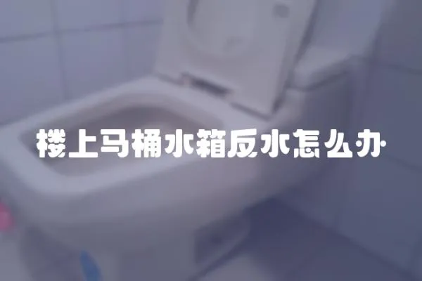 樓上馬桶水箱反水怎么辦