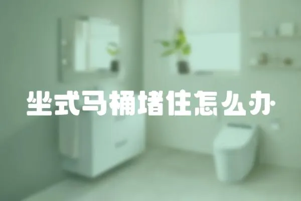 坐式馬桶堵住怎么辦