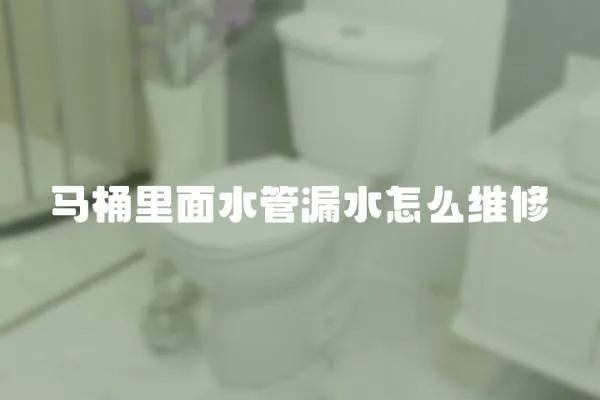 馬桶里面水管漏水怎么維修