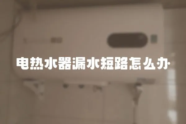 電熱水器漏水短路怎么辦