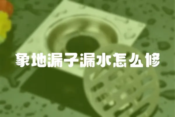 象地漏子漏水怎么修