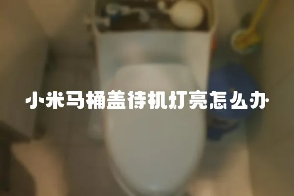 小米馬桶蓋待機(jī)燈亮怎么辦