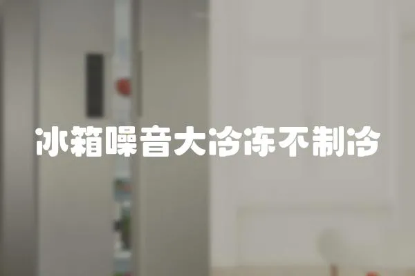 冰箱噪音大冷凍不制冷