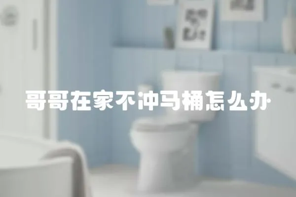 哥哥在家不沖馬桶怎么辦
