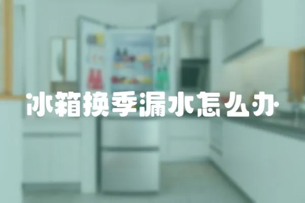 冰箱換季漏水怎么辦