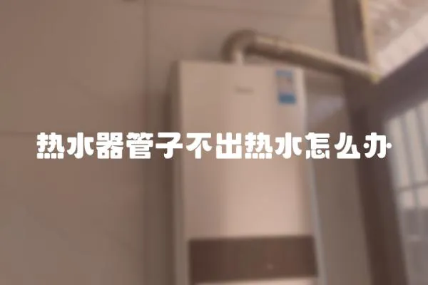 熱水器管子不出熱水怎么辦