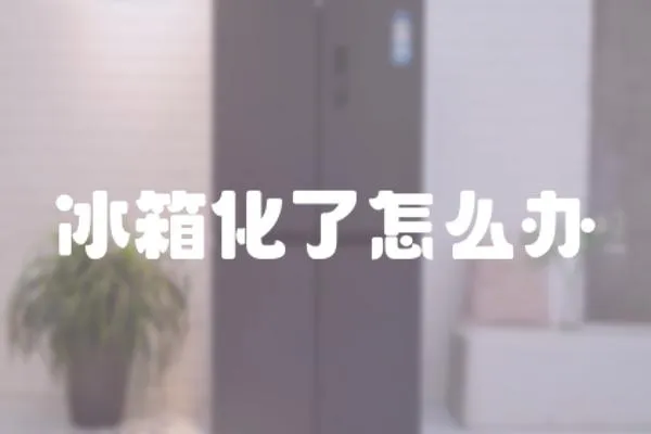 冰箱化了怎么辦