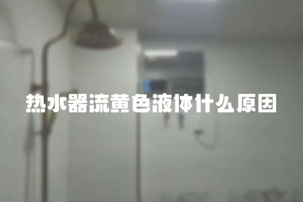 熱水器流黃色液體什么原因