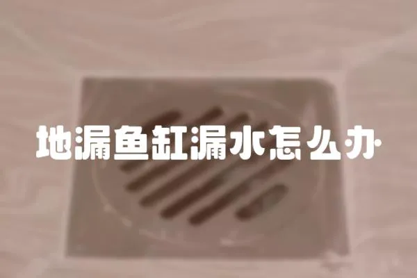 地漏魚缸漏水怎么辦