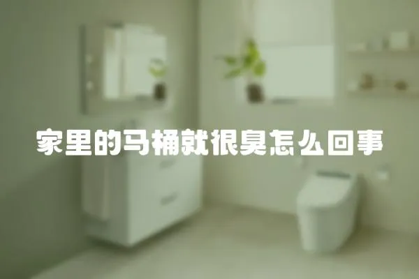 家里的馬桶就很臭怎么回事