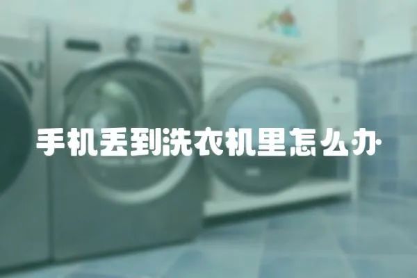 手機丟到洗衣機里怎么辦