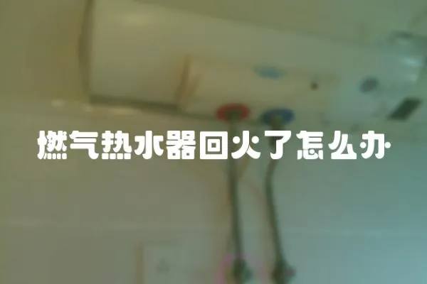燃氣熱水器回火了怎么辦