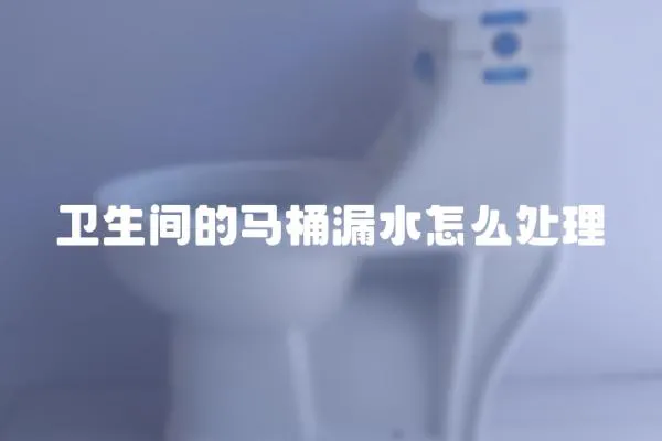 衛(wèi)生間的馬桶漏水怎么處理