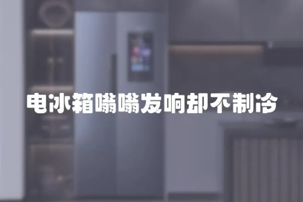 電冰箱嗡嗡發響卻不制冷
