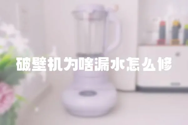 破壁機(jī)為啥漏水怎么修