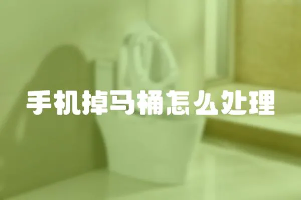 手機掉馬桶怎么處理