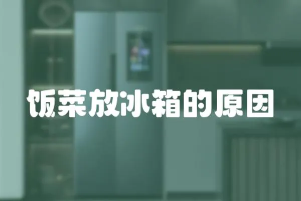 飯菜放冰箱的原因