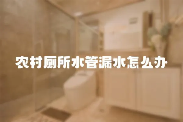 農(nóng)村廁所水管漏水怎么辦