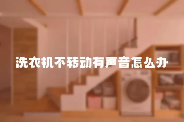 洗衣機不轉動有聲音怎么辦