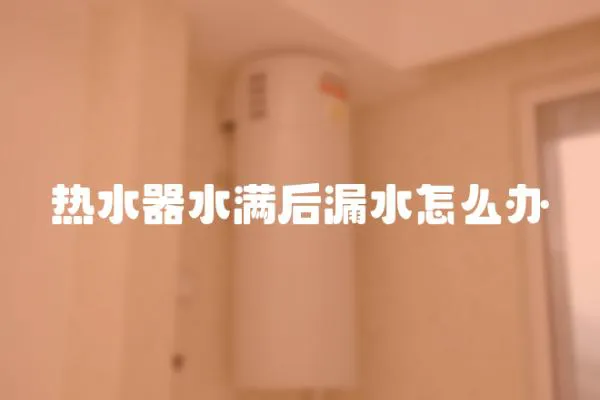 熱水器水滿后漏水怎么辦