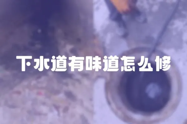 下水道有味道怎么修