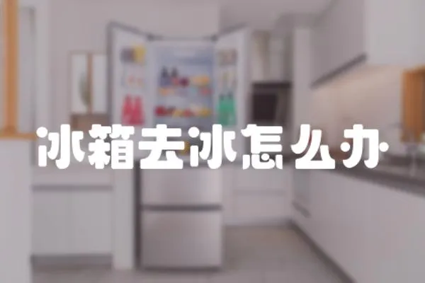 冰箱去冰怎么辦