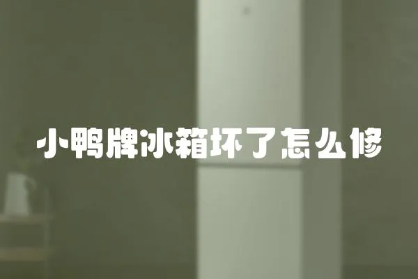 小鴨牌冰箱壞了怎么修