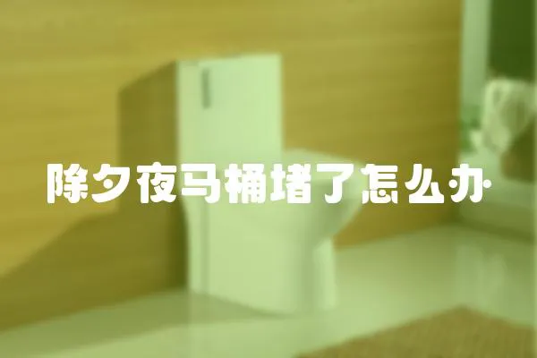 除夕夜馬桶堵了怎么辦
