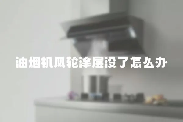 油煙機風輪涂層沒了怎么辦