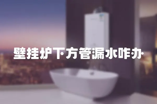 壁掛爐下方管漏水咋辦