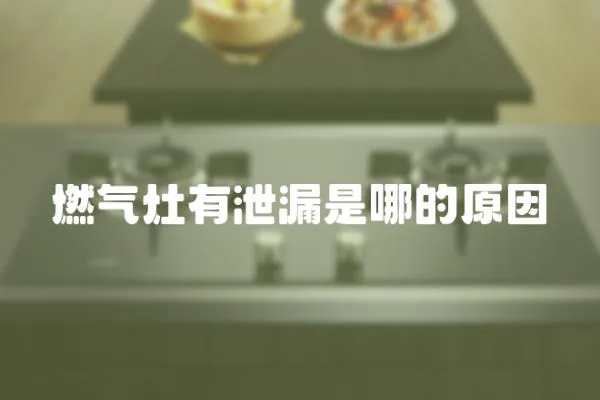 燃氣灶有泄漏是哪的原因