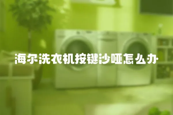 海爾洗衣機按鍵沙啞怎么辦