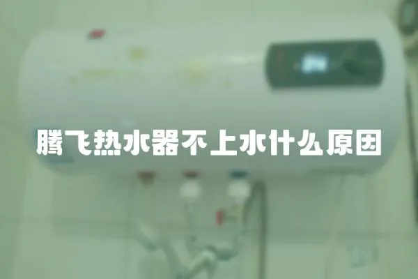 騰飛熱水器不上水什么原因