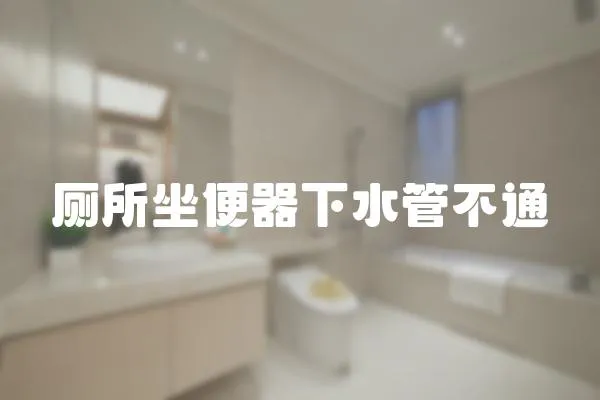 廁所坐便器下水管不通