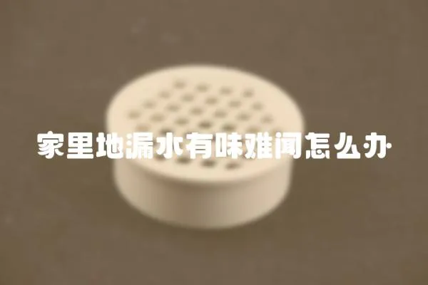 家里地漏水有味難聞怎么辦