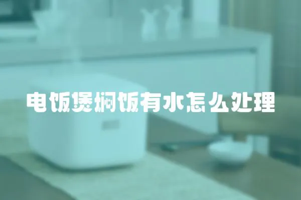 電飯煲燜飯有水怎么處理