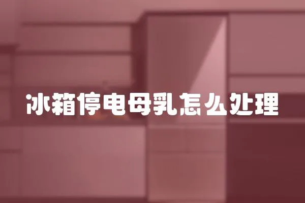 冰箱停電母乳怎么處理