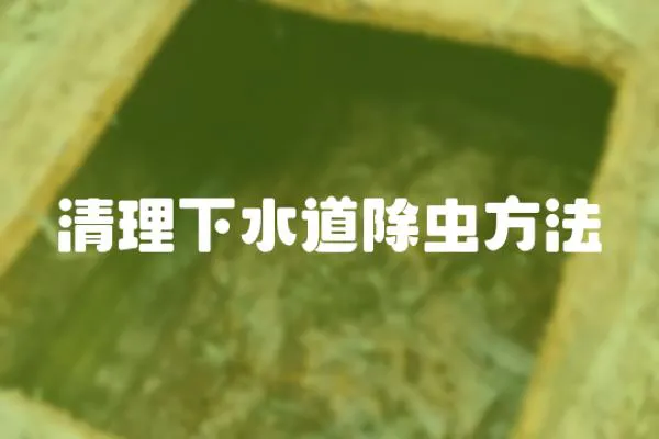 清理下水道除蟲方法