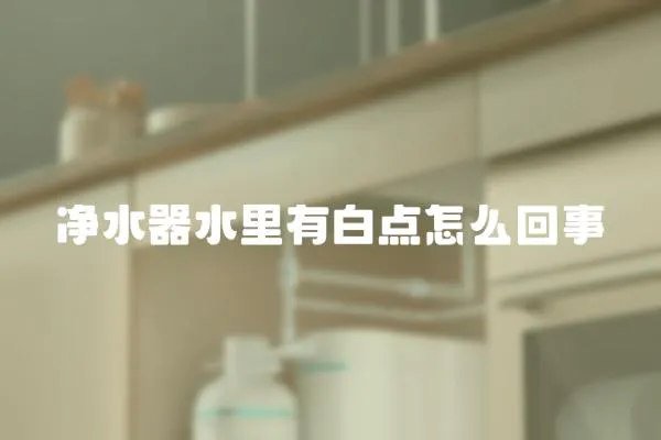 凈水器水里有白點怎么回事