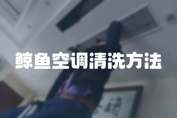 鯨魚空調(diào)清洗方法