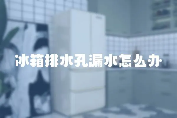 冰箱排水孔漏水怎么辦