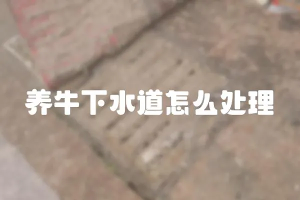 養牛下水道怎么處理
