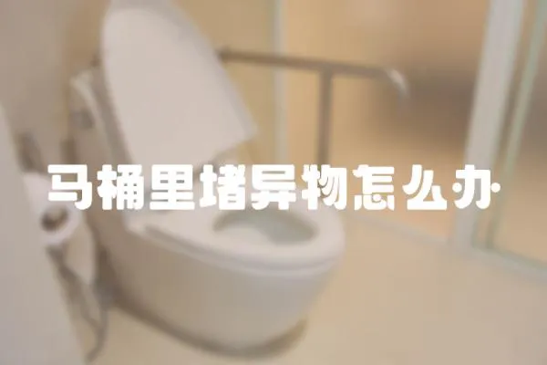 馬桶里堵異物怎么辦